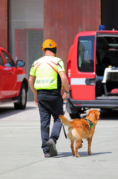 Search-and-rescue dog with tongue out on leash held by its handler during a mission