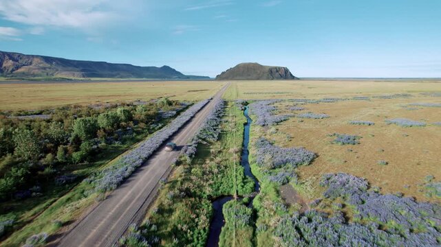 Voiture roulant sur une route au milieu de plante violette avec montagne enneig&eacute; &agrave; l'horizon