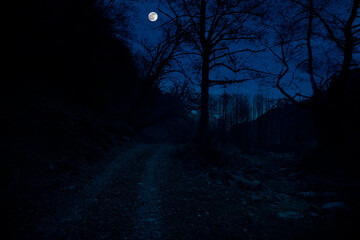Mountain Road through the forest on a full moon night. Scenic night landscape of country road at night with large moon