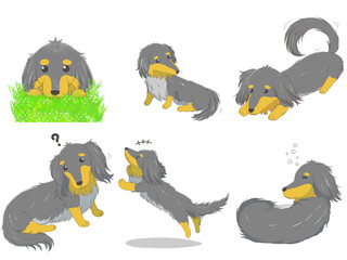 ミニチュアダックスまとめ