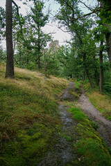 Obraz premium The Wartburg is a castle near Eisenach, in the northwestern Thuringian Forest in Thuringia. Its name is probably derived from Warte, meaning watchman's castle. The castle hill is 411 m above sea level