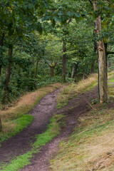 Obraz premium The Wartburg is a castle near Eisenach, in the northwestern Thuringian Forest in Thuringia. Its name is probably derived from Warte, meaning watchman's castle. The castle hill is 411 m above sea level