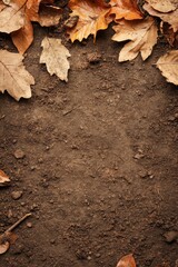 Fall Leaves on Soil. The Environment