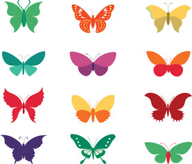 Fototapeta premium collection of butterflies