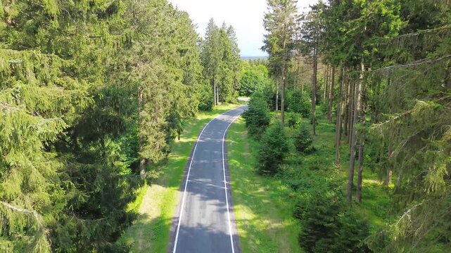 aerial flight throught green spuce forest over road
