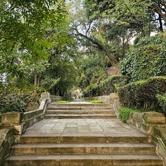 Escaleras antiguas en el bosque.