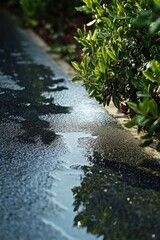 Fototapeta premium Wet Pavement Reflection. Landscapes
