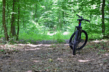bike. transport. summer or spring time. mountain bike. A mountain bike stands on a trail in a summer forest. cycling outdoor. concepts of sports, cycling, outdoor activities. spring park. back view