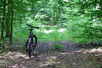 bike. transport. summer or spring time. mountain bike. A mountain bike stands on a trail in a summer forest. cycling outdoor. concepts of sports, cycling, outdoor activities. spring park.