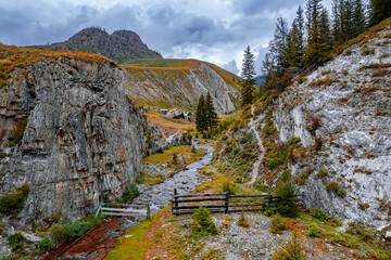 Aerial top view mysterious landscape mountains with river, green forest and trees in rural Altai, drone photo
