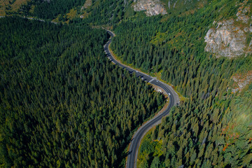 Aerial top view road in forest with car motion. Winding highway through green trees Altai. Concept ecosystem ecology healthy environment, travel trip