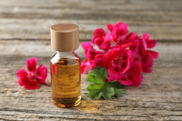 Bottle of geranium essential oil and beautiful flowers on wooden table, closeup