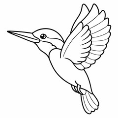 kingfisher bird. Colouring page for kids and adults. Print design, t-shirt design, tattoo design, mural art, line art. 
