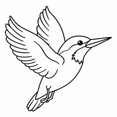 kingfisher bird. Colouring page for kids and adults. Print design, t-shirt design, tattoo design, mural art, line art. 