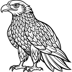 Eagle bird coloring pages mandala designe outline vector illustration for kids coloring book