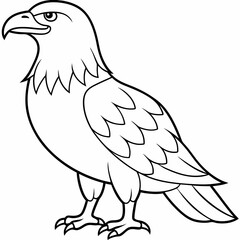 Eagle bird coloring pages mandala designe outline vector illustration for kids coloring book