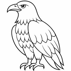 Eagle bird coloring pages mandala designe outline vector illustration for kids coloring book