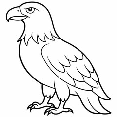 Eagle bird coloring pages mandala designe outline vector illustration for kids coloring book