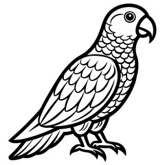 Hand drawn of Cockatoo parrot in zentangle style for Adult coloring book page, shirt design effect, logo, tattoo and decoration.Vector illustration.