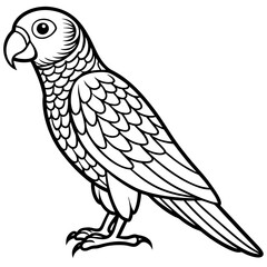 Hand drawn of Cockatoo parrot in zentangle style for Adult coloring book page, shirt design effect, logo, tattoo and decoration.Vector illustration.