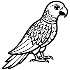 Hand drawn of Cockatoo parrot in zentangle style for Adult coloring book page, shirt design effect, logo, tattoo and decoration.Vector illustration.