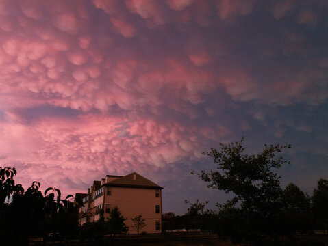 Mammatus clouds at Sunset in a dramatic pink and blue sky