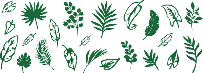 Fototapeta premium Varied set of simple leaves in Green - Nature - Botanicals