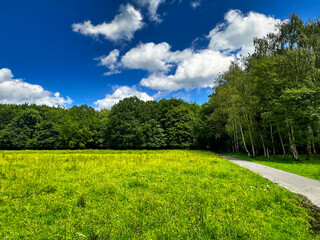 Amsterdam, the capital of Netherlands, is known for its artistic heritage, elaborate canal system and narrow houses!!