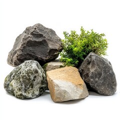Transform your aquarium with this beautiful natural rock and plant arrangement