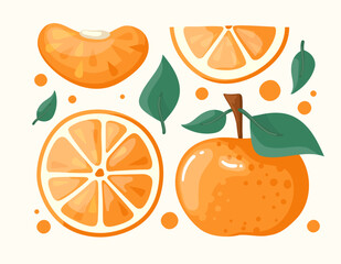 Mandarines, tangerine, clementine with leaves. Whole fruit with leave,  halves, peel and cut piece. Isolated vector illustration. Citrus fruit. Vector Illustration set.