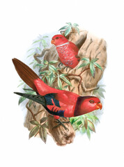 Naklejka premium Parrot illustration. Vintage-inspired bird art. Digital watercolor painting on a white background.