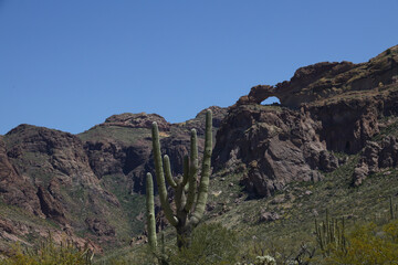 Natural arch and desert landscape at Organ Pipe Cactus National Monument, Arizona