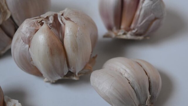 Garlic bulb isolated. Garlic on white background. Purple garlic bulb collection. Set with clipping path.