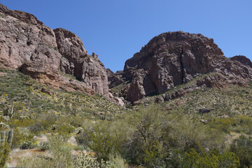 Desert landscape at Organ Pipe Cactus National Monument, Arizona