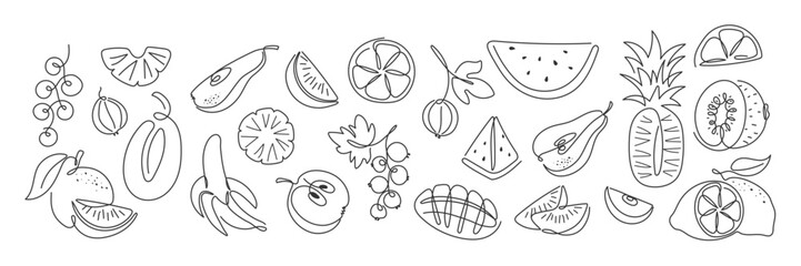 Fototapeta premium Contour sketch various fruit slice collection. Cute tropical garden fruits, berries. Abstract Healthy food doodle black and white illustration. Summer fresh organic ingredients set