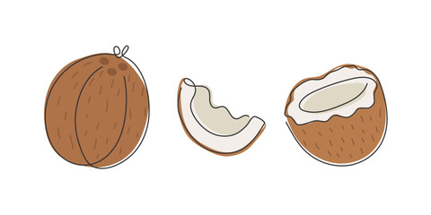 Doodle Abstract Coconut set. Whole, half, slice tropical fruit isolated on white. Exotic dessert. Food sketch illustration