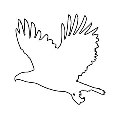Eagle Drawing | Eagle Outline | Eagle Clipart