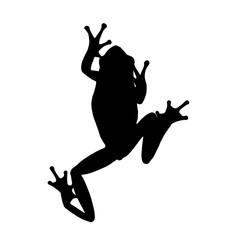 Frog Illustration | Frog Outline | Frog Drawing