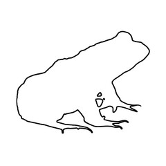 Frog Illustration | Frog Outline | Frog Drawing