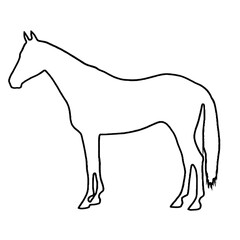 Horse Drawing | Horse Illustration | Horse Outline