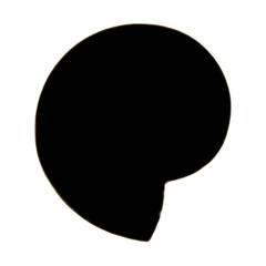 Seashell | Shell Illustration | Shell Outline