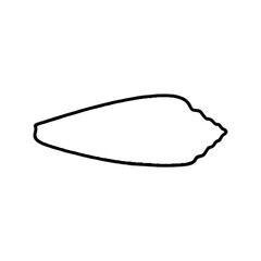 Seashell | Shell Illustration | Shell Outline