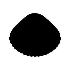 Seashell | Shell Illustration | Shell Outline