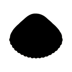 Seashell | Shell Illustration | Shell Outline