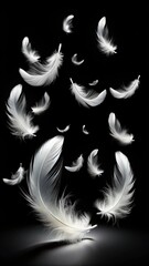 Obraz premium A black background with white feathers falling from sky