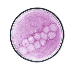 Petri dish with sample isolated on white, top view
