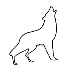 Wolf Outline | Wolf Drawing | Wolf Illustration