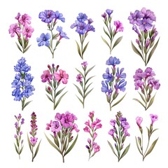 Vibrant Flower Artwork Set, Scrapbooking Art Concept, Gardening Brand Logo, Floral Sticker Sheet, Isolated Floral Clipart Design, Natural Beauty Plant Collection, White Background Easy Custom Editing