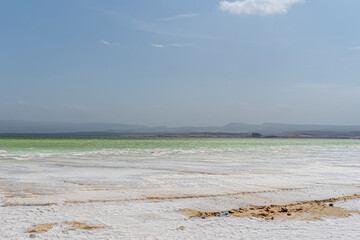 Salt crystals emerging from the water with mountains in the background, Lake Assal, Djibouti