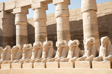Beautiful view of ram sculptures in ancient Karnak Temple in Luxor, Egypt